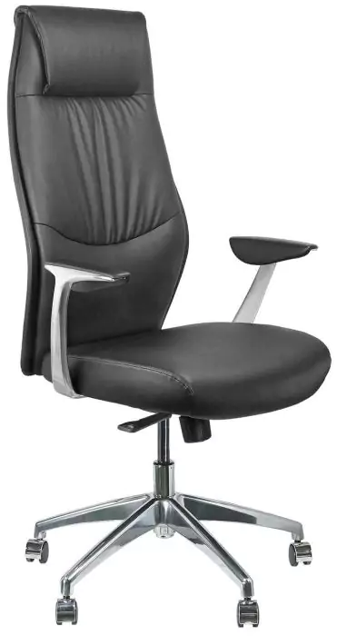 Кресло Riva Chair A9184