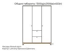 Шкаф распашной Хелен дизайн 39