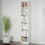 Стеллаж Билли