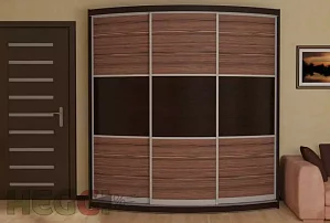 Радиусный шкаф-купе Мебелеф-5