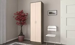 Распашной шкаф Классик Роналд 1