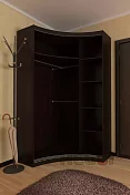 Радиусный шкаф-купе Мебелеф-8