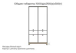 Шкаф распашной Хелен дизайн 31