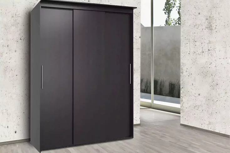 Шкаф-купе Эконом Миллениум 1752х2400х573, Черный