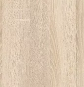 Шкаф-купе Эконом Миллениум 884х2400х423 зеркало светлый роникон