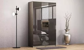 Шкаф распашной Глянец 1 Черный 