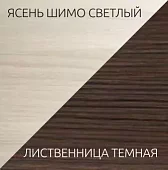 Шкаф-купе Николь 2 Бежевый