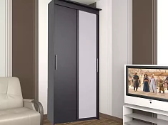 Шкаф-купе Эконом Миллениум 884х2070х423 зеркало