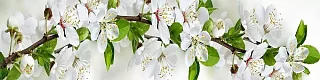 Фартук для кухни Цветущий сад Белый