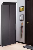 Шкаф-купе Эконом Миллениум 884х2400х423