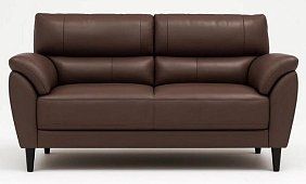 Кожаный диван Канцлер Без механизма Коричневый