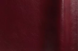 Кожаный диван Слип Выкатной Красный